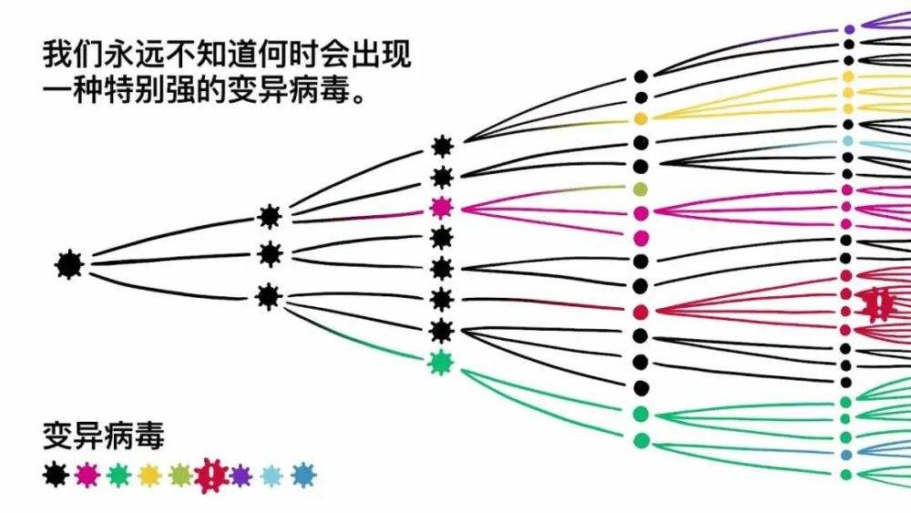 新冠病毒后期变异命名 新冠病毒变异后叫什么名字