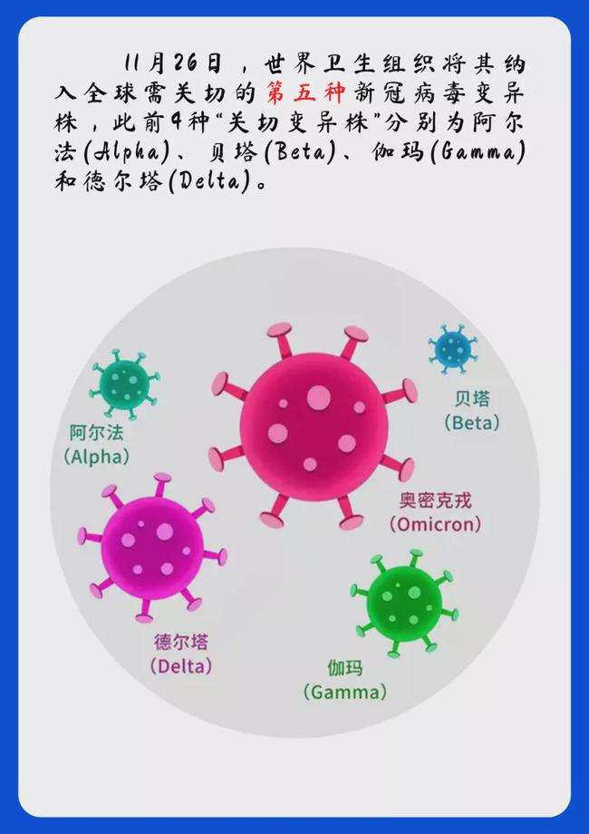 新变异的新冠病毒毒株 新变异的新冠病毒毒株有多少种