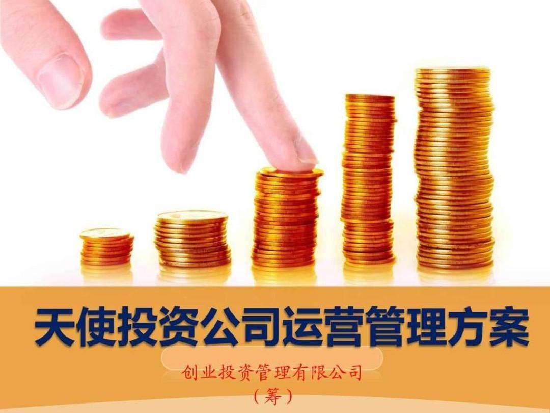什么公司会天使投资 天使投资公司是做什么的
