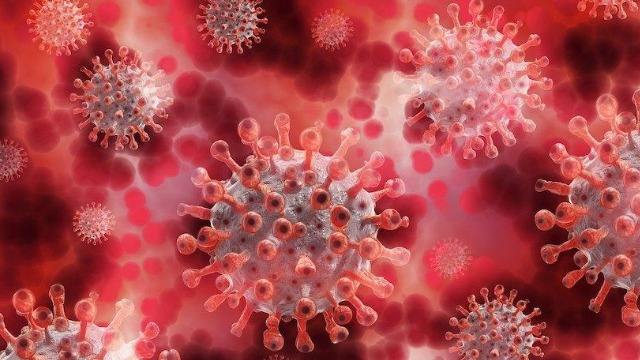 新冠病毒早期表现症状图片 新冠病毒早期表现症状图片男性