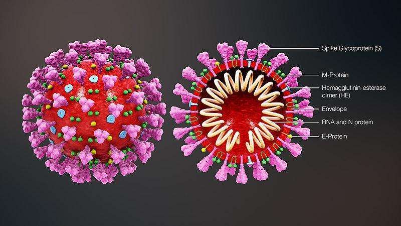 武汉现有多少例新冠病毒 武汉现有多少例新冠病毒感染者