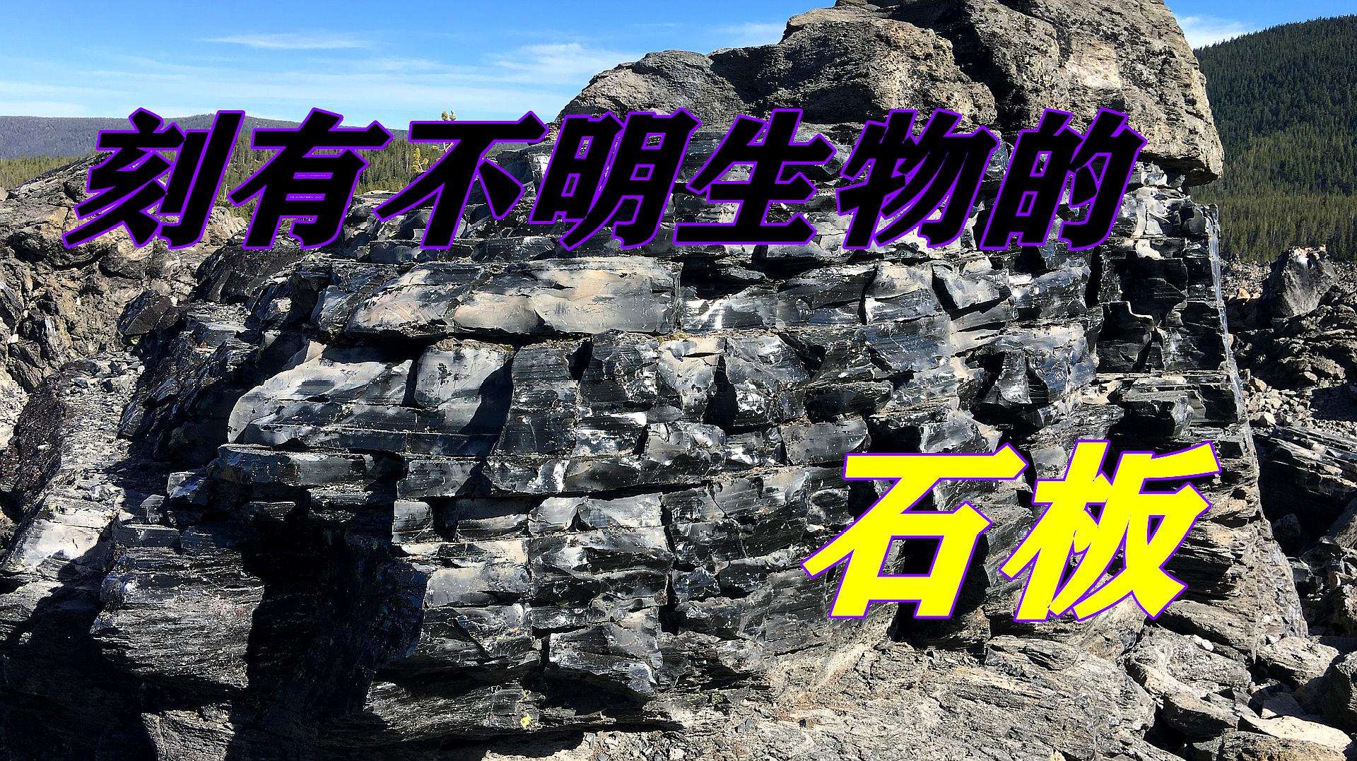 世界上未解之谜石头 世界未解之谜会移动的石头