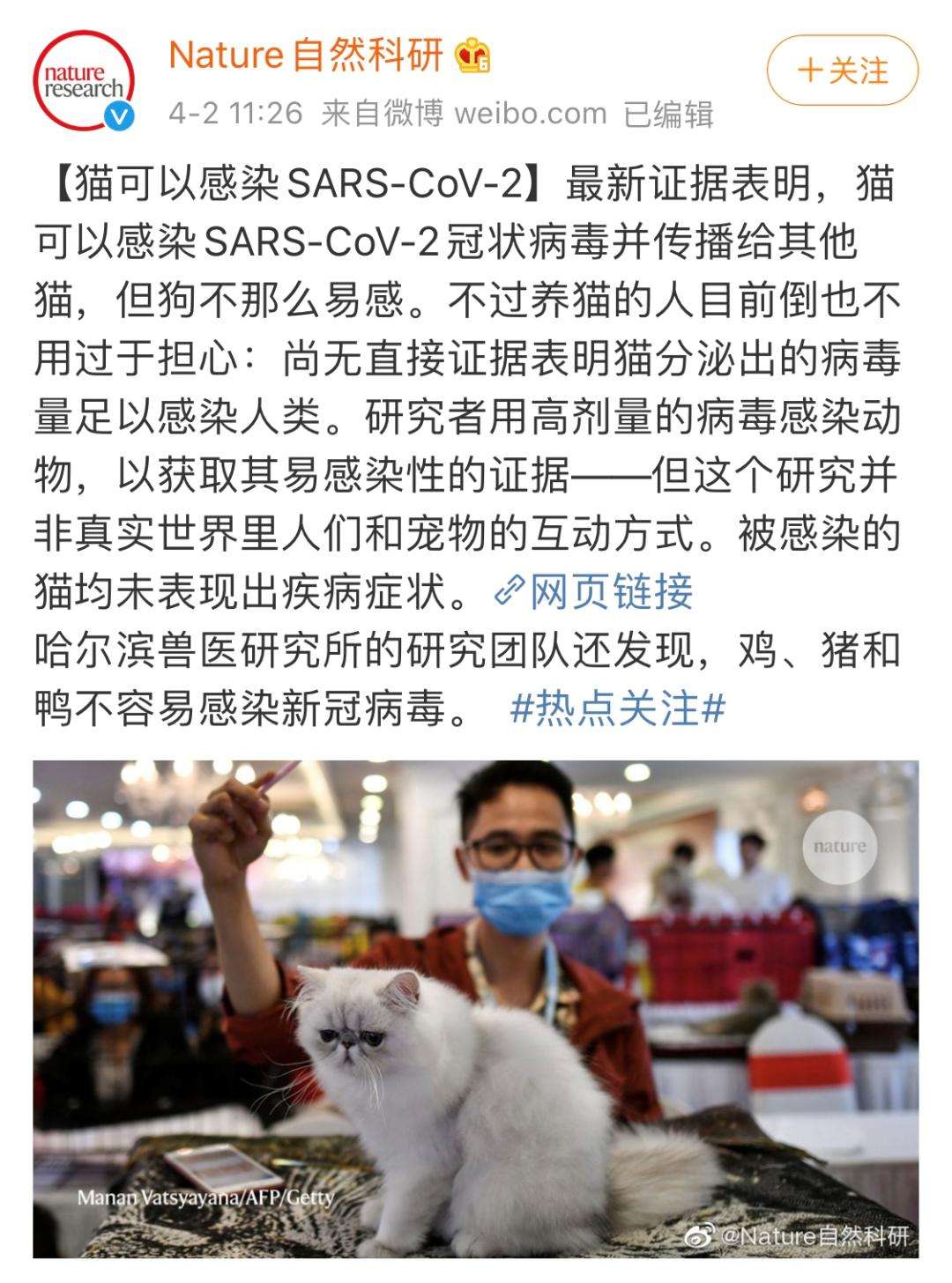 禽类会传播新冠病毒吗 禽类会传播新冠病毒吗知乎