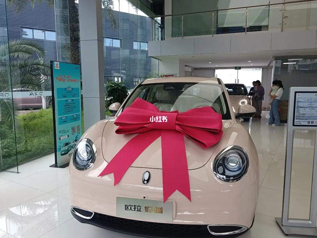 欧拉好猫一万块钱怎么领取 欧拉好猫全部下来需要多少钱