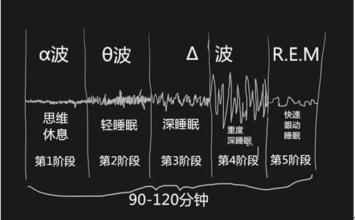 睡眠未解之谜解说 睡眠未解之谜解说视频