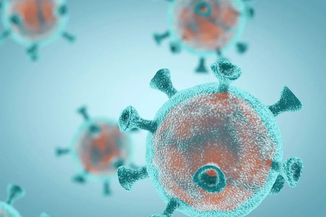 新冠病毒的生活特征 新冠病毒的生活特征是