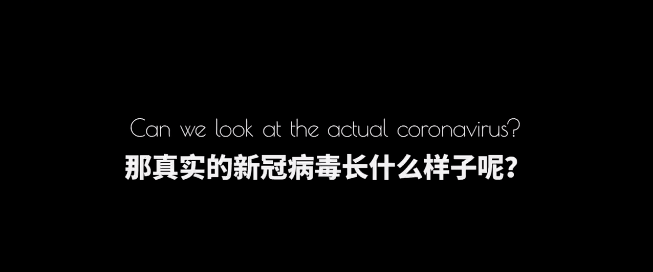 新冠病毒已什么命名 新冠病毒的命名为什么