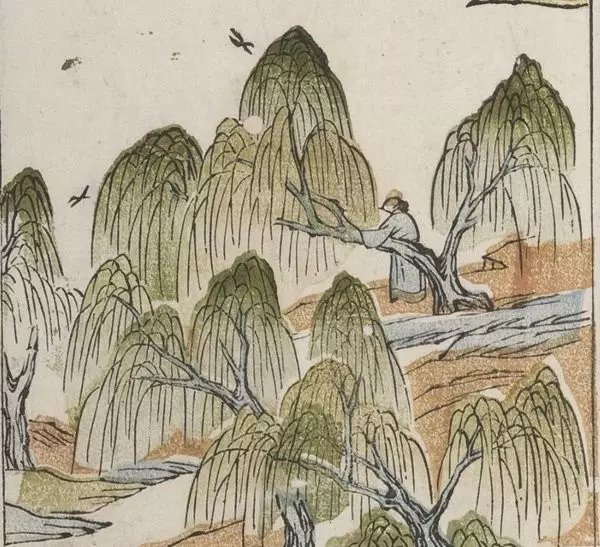 游西湖苏辙 游西湖苏辙翻译