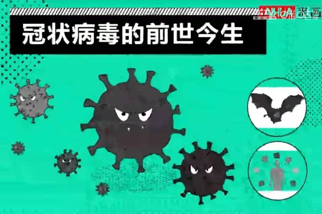 新冠病毒六不准简介 新冠状病毒六早是什么