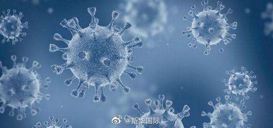 新冠病毒的r0 新冠病毒的r0值
