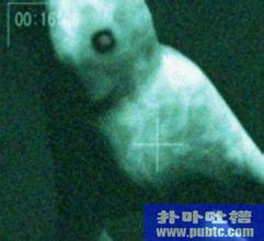 目击小矮人未解之谜 目击小矮人未解之谜在线阅读