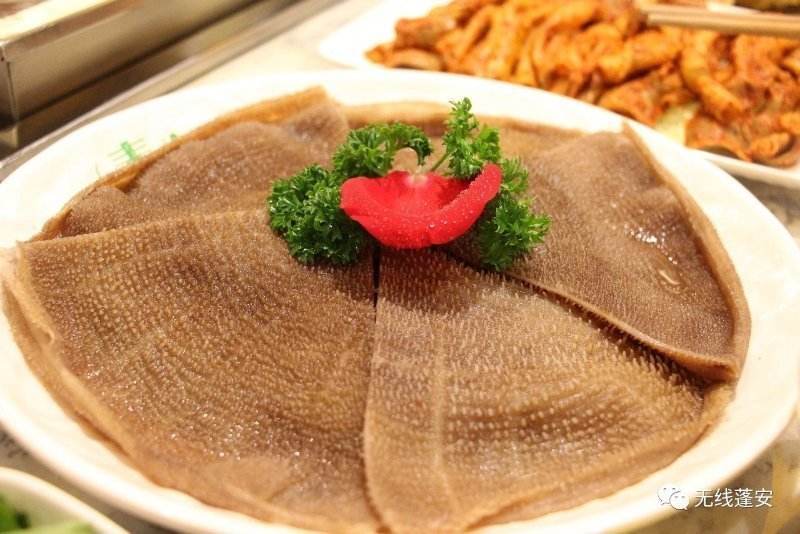 苍溪春怡火锅订餐电话 苍溪春怡火锅订餐电话多少