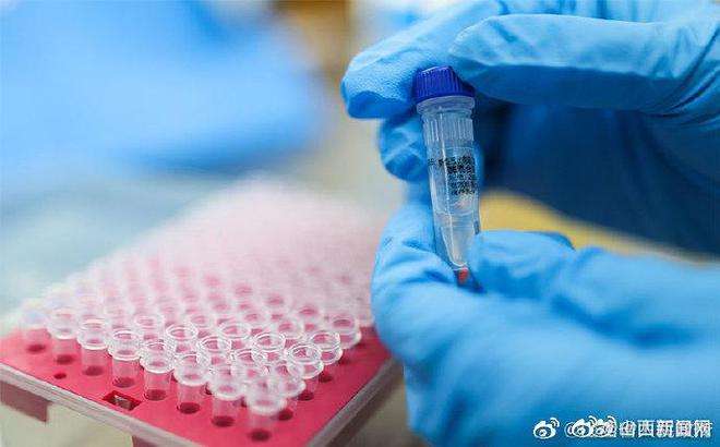 鼠标会传染新冠病毒吗 老鼠会感染新型冠状病毒吗?