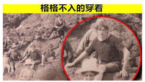 礼炮六号未解之谜 礼炮六号未解之谜在线观看
