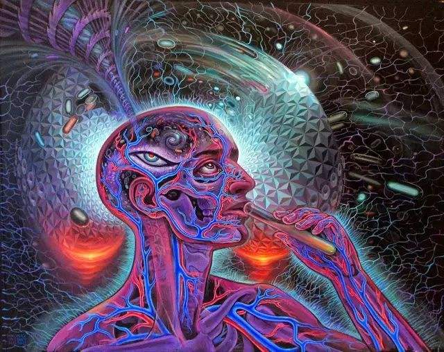 求索-未解之谜 求索未解之谜第一季