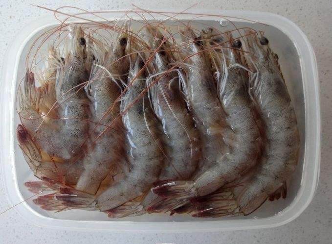 冰箱怎样冻虾 冰箱怎样冻虾才好吃