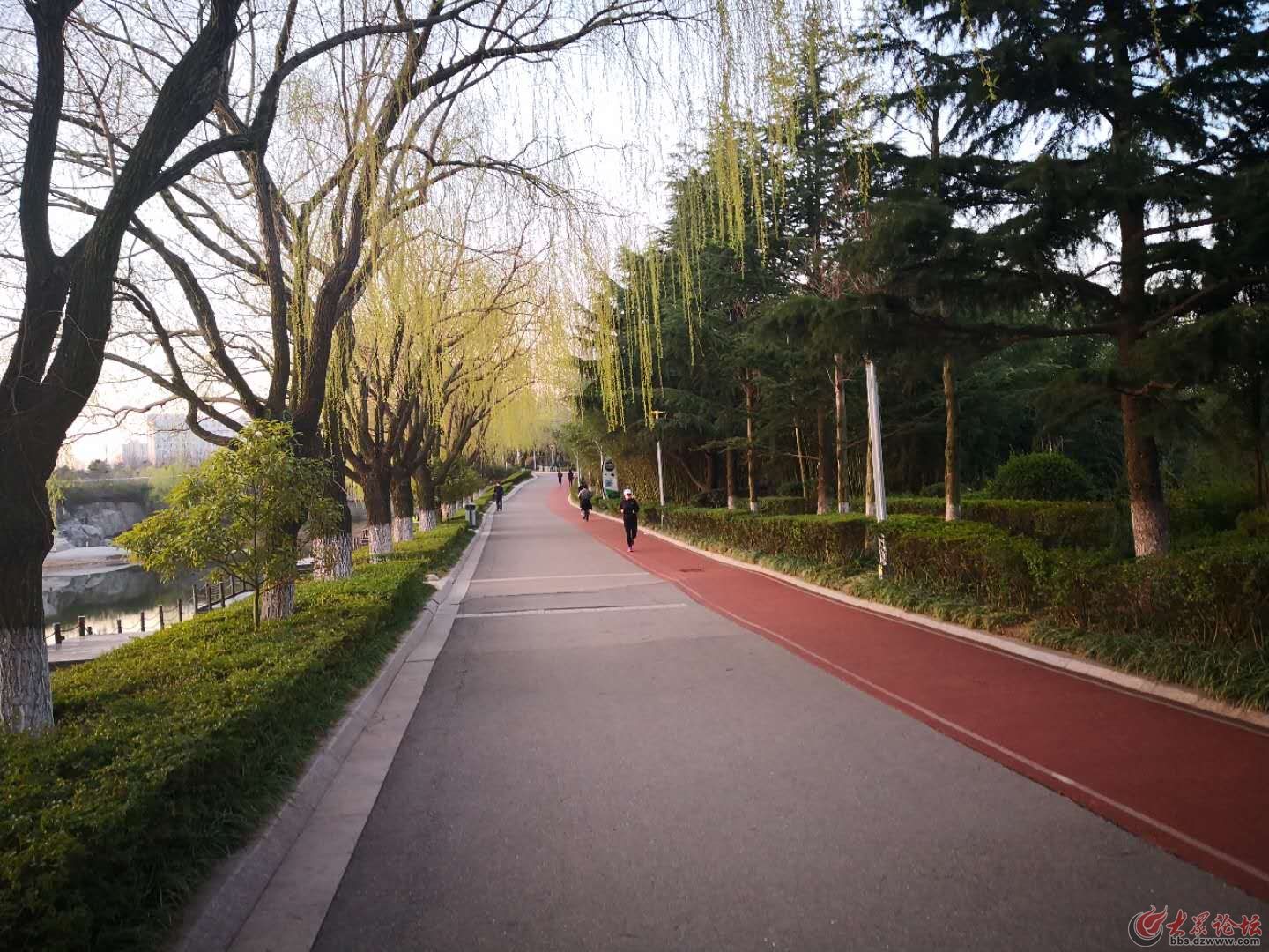 山东大众论坛日照社区 日照论坛  大众论坛