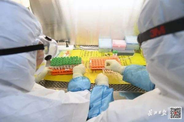 辽宁新冠病毒检测厂家 辽宁省新冠病毒检测价格公布