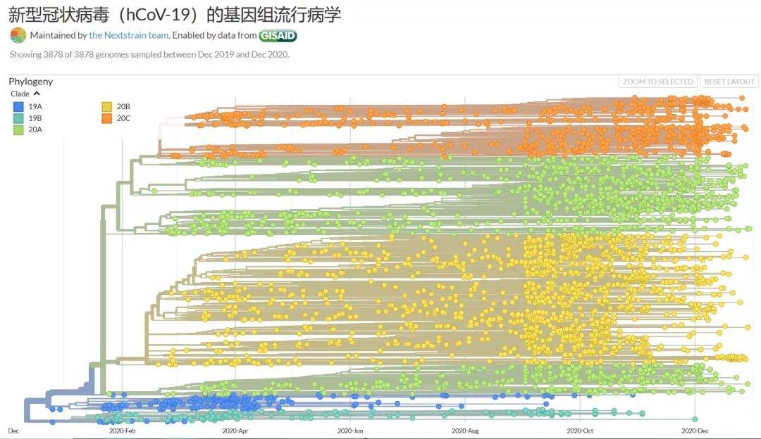 贵州新冠病毒传播情况 贵州新冠病毒传播情况最新消息