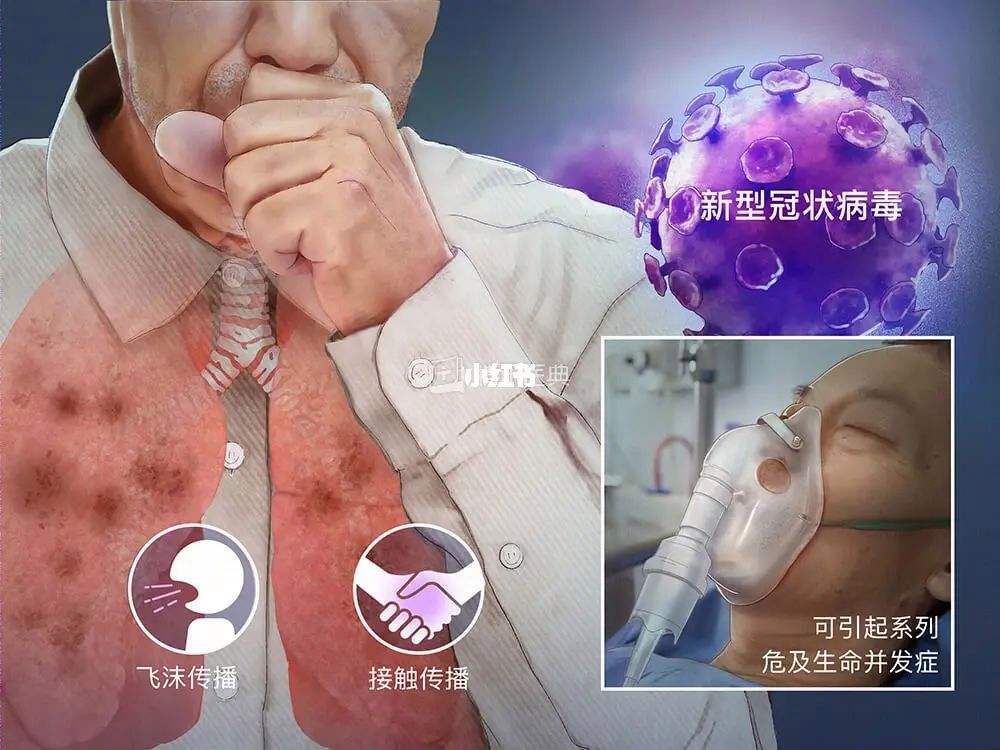 新冠病毒的正确用法 关于新冠病毒的简单介绍