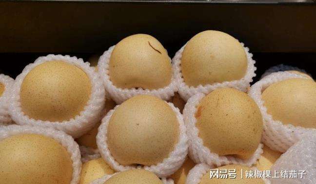 苹果梨子可以放冰箱吗 苹果和梨子需要放在冰箱吗