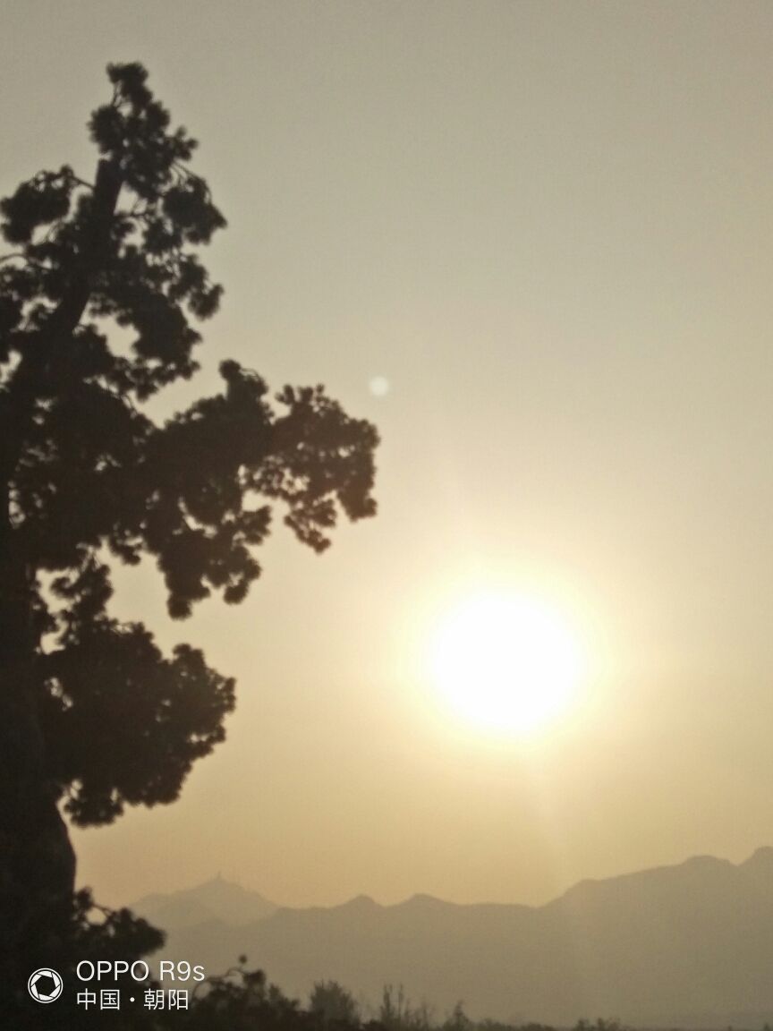 日出东方红太阳的生肖 日出东方出太阳什么生肖