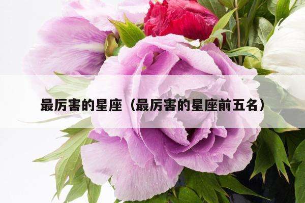 领导最多的星座 做领导最多的星座