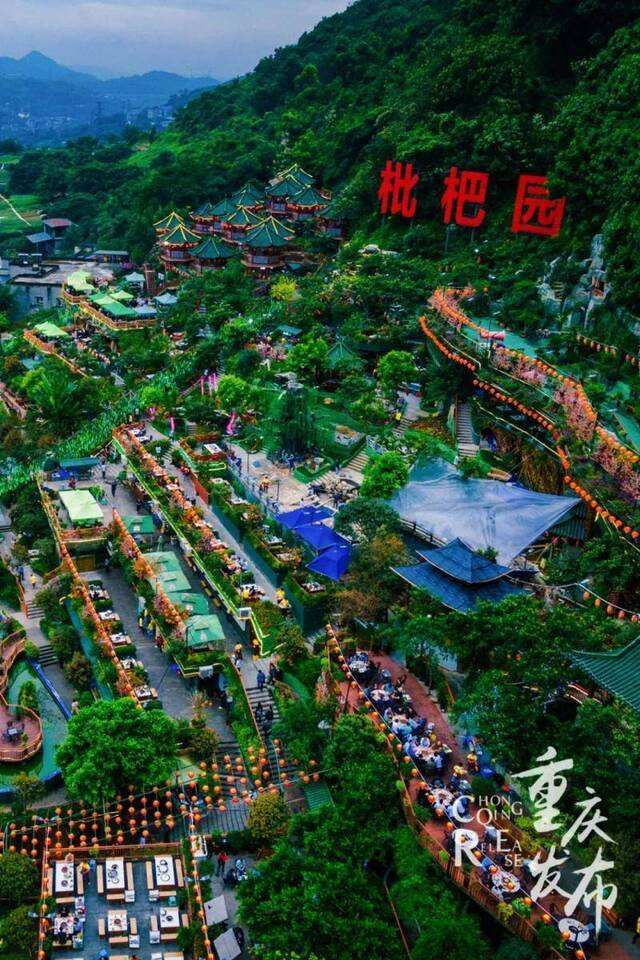 枇杷园火锅 枇杷园火锅电话
