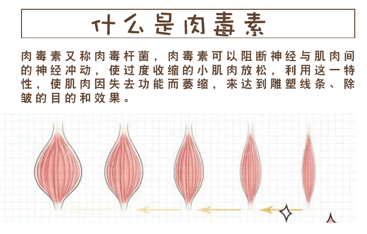 减肥原理是什么 唯蜜瘦减肥原理是什么