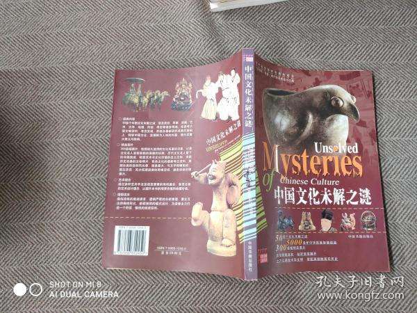 安阳未解之谜之一 安阳未解之谜之一是谁