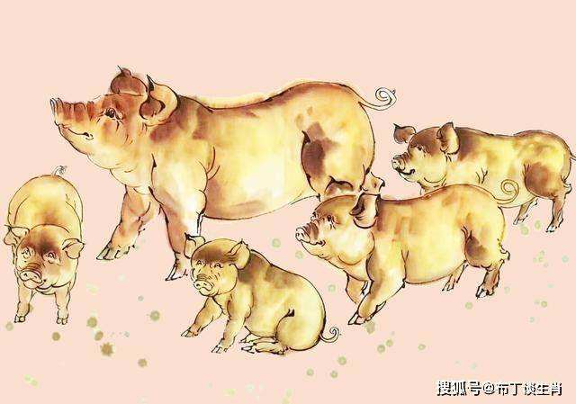 七步成章打一生肖 七步成诗打一生肖是什么生肖