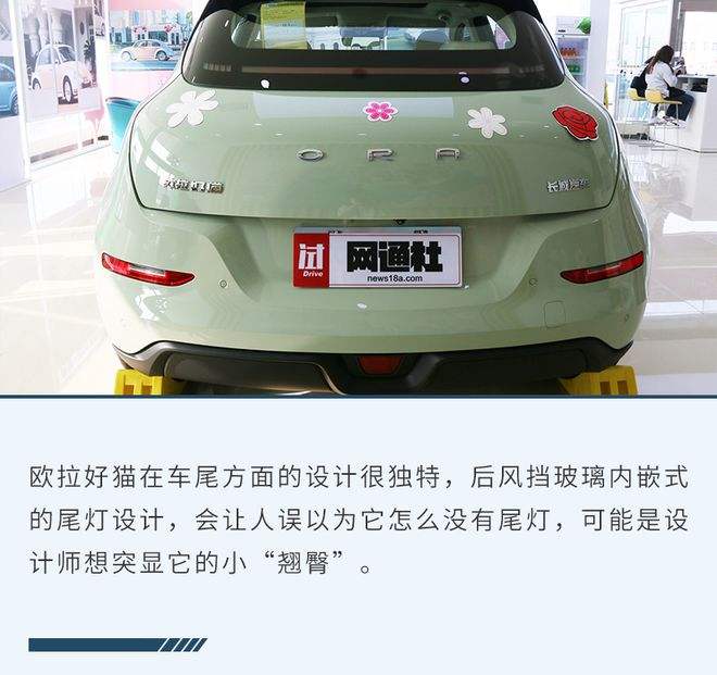 张家界欧拉好猫 张家界欧拉好猫