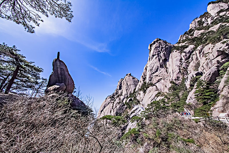 黄山风景区让带宠物吗 黄山风景区可以带宠物狗吗