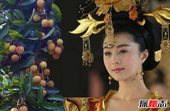 杨玉环真实未解之谜 杨玉环是真实存在的吗