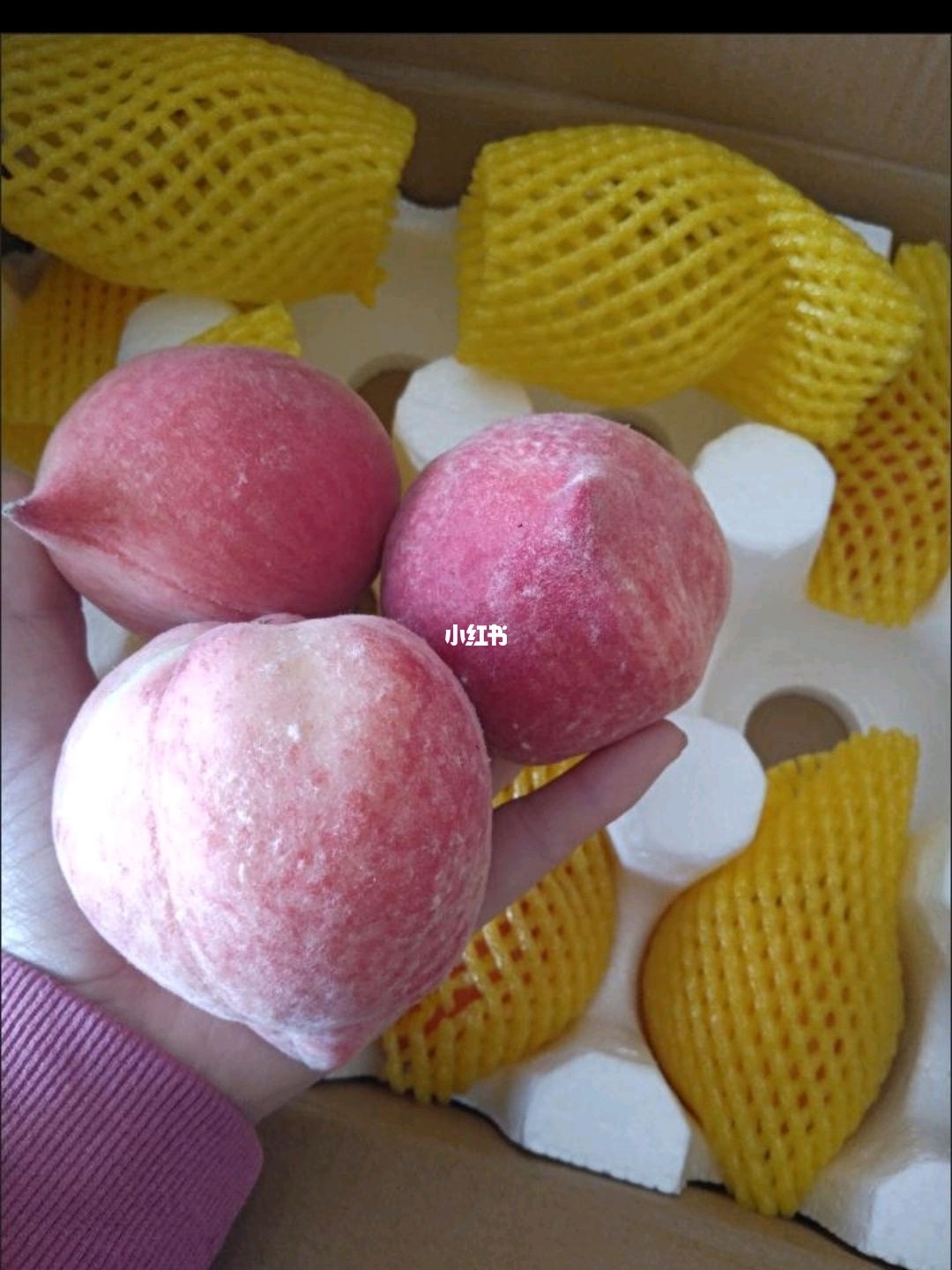 水蜜桃可以放冰箱 水蜜桃可以放冰箱储存吗