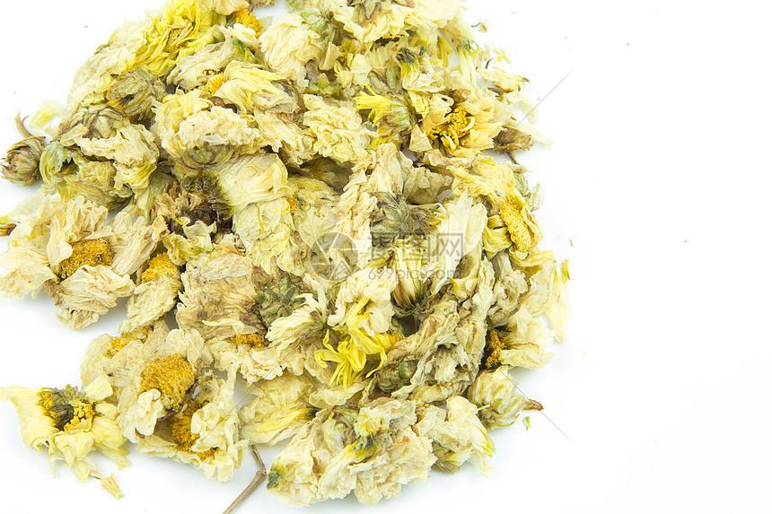 干菊花可以放冰箱吗 干菊花可以放冰箱冷冻吗