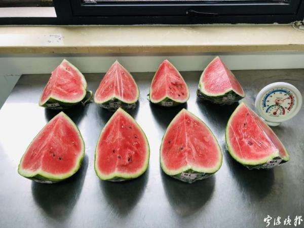 西瓜能不能放到冰箱里 西瓜能不能放到冰箱里冷藏