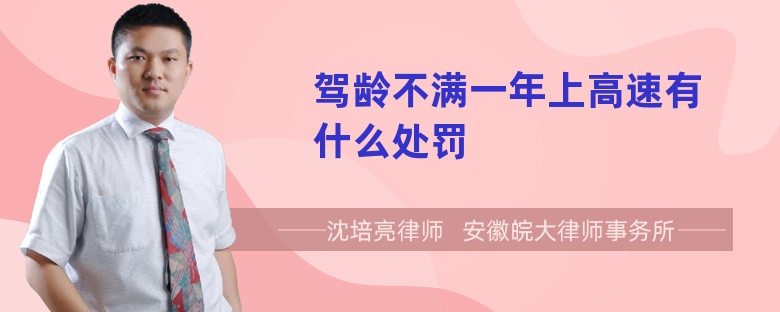 没满一年的驾照上高速怎么处置 没满一年的驾照上高速怎么处置罚款