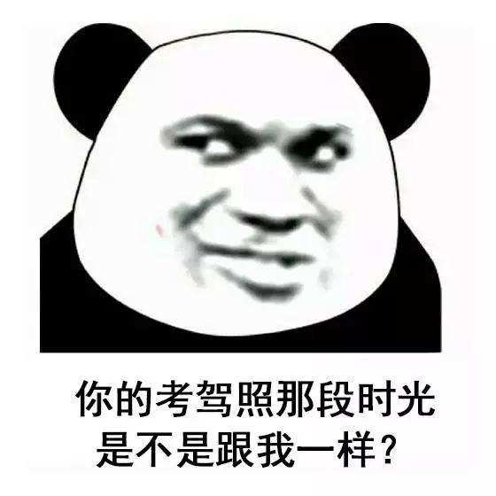拿到驾照跟教练说什么 拿到驾照给教练说啥感谢的话