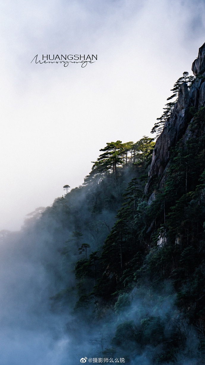 黄山太平杀人 黄山太平刑事案件