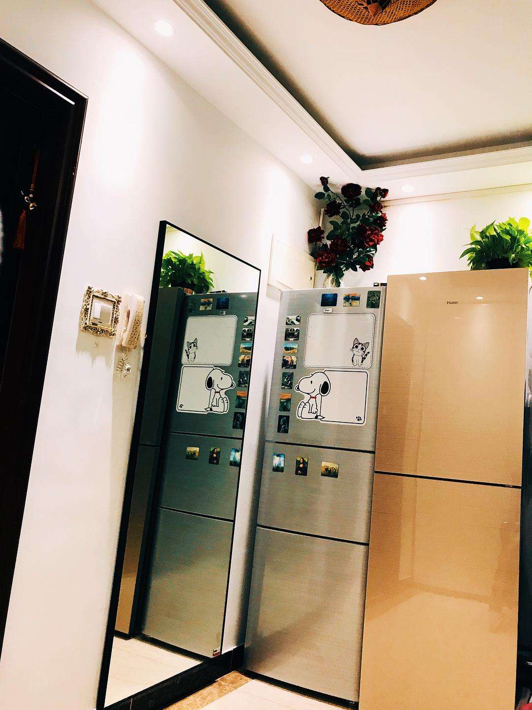 玄关放冰箱 玄关处放冰箱该怎么装修