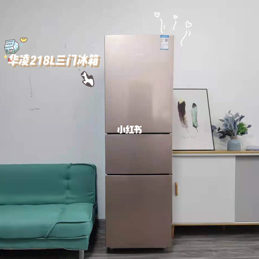 大门对着冰箱怎么化解 冰箱正对着大门用什么方法化解