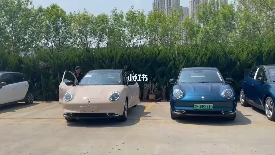 要不要买欧拉好猫 