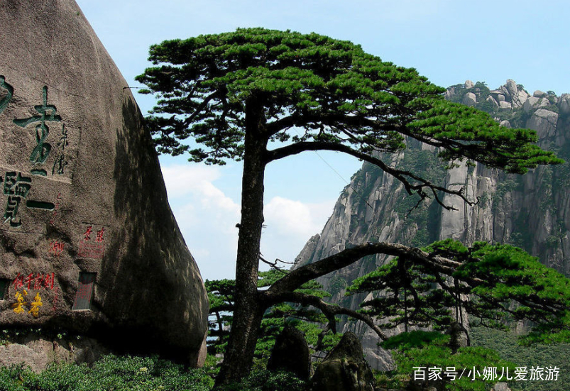 三折岭望黄山 三折岭望黄山带拼音全文