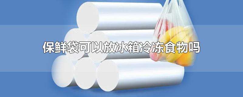 冰袋可以放冰箱冷冻吗 保鲜冰袋可以放进冰箱吗