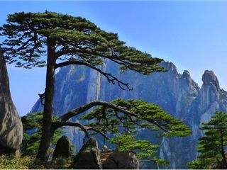 杭州去黄山二日游 杭州出发黄山三日游