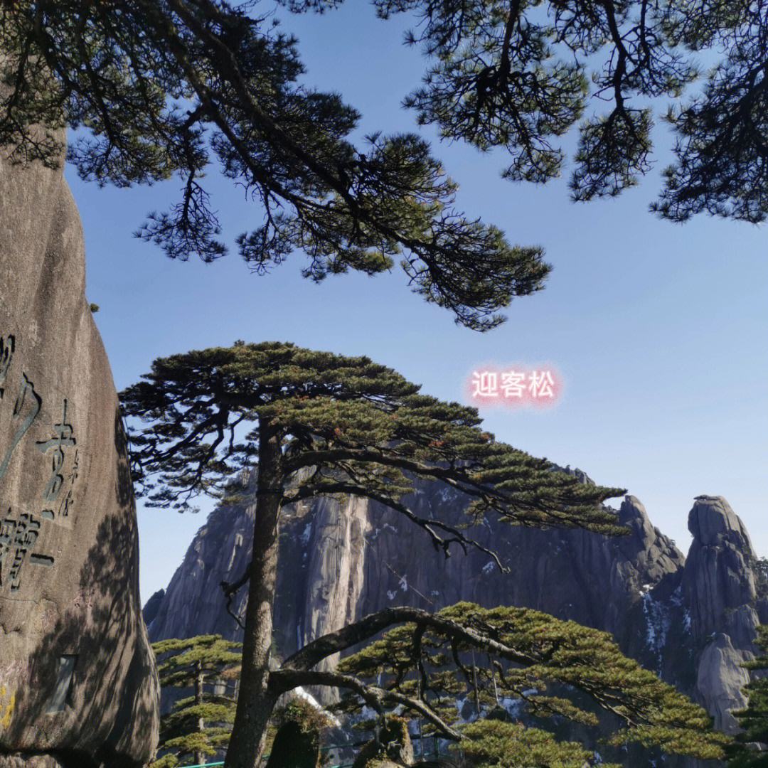 上海到黄山旅游团 上海到黄山二日游跟团