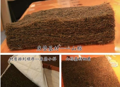 耶棕床垫 椰棕床垫和乳胶床垫哪个好些