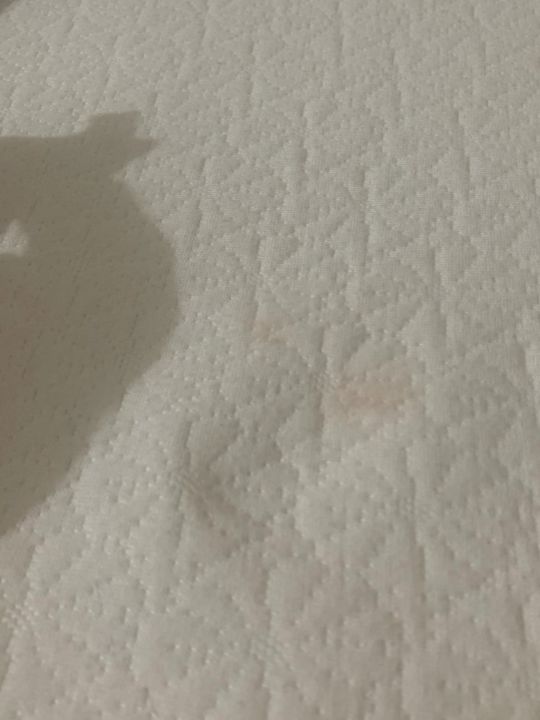 床垫上的旧血迹怎么洗 床垫旧血迹用什么能洗掉