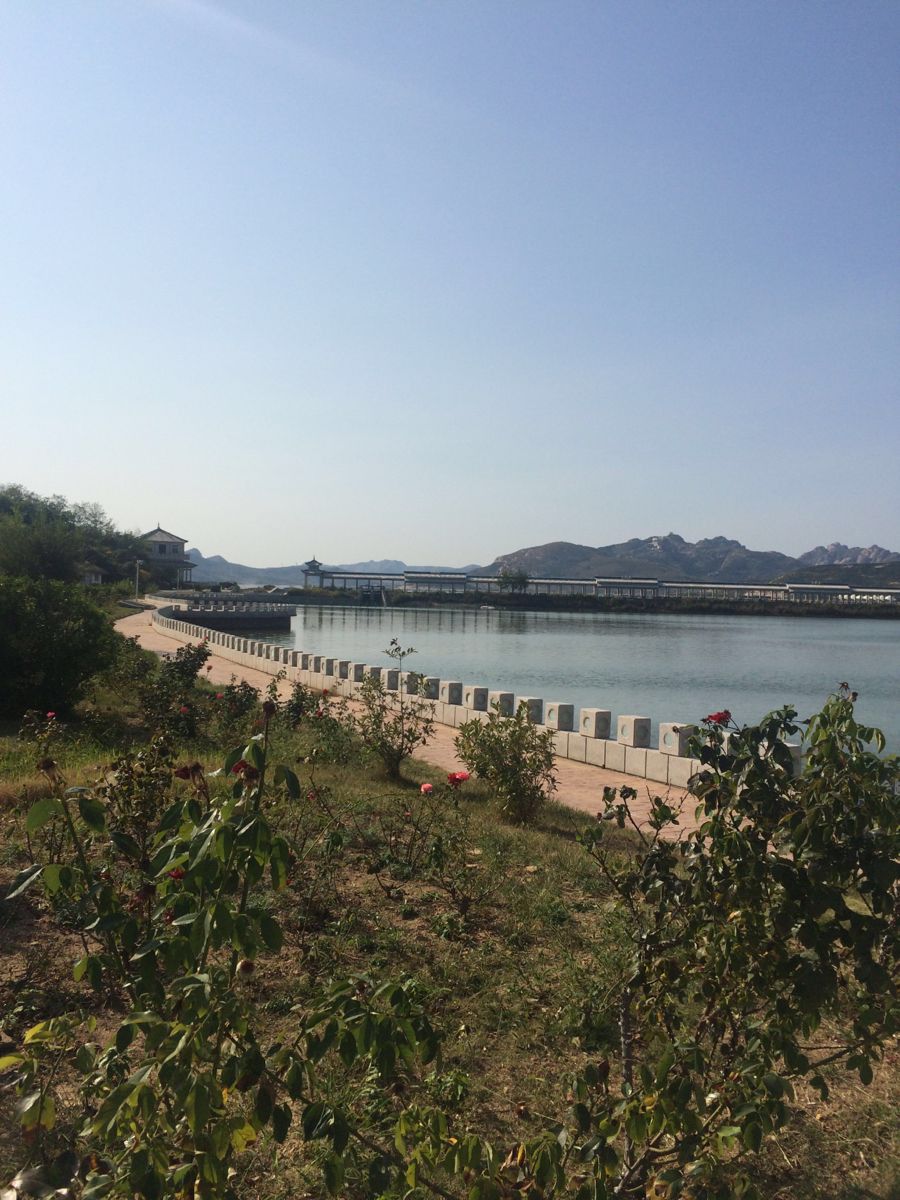 乳山大自然旅行社电话 乳山大自然旅行社电话地址